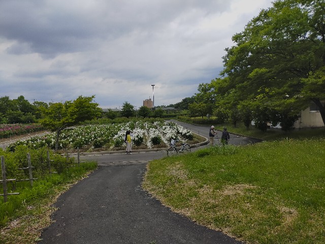 f:id:fruitmix:20220608011740j:image