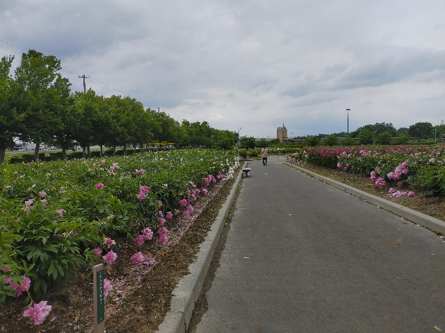 f:id:fruitmix:20220608013043j:image