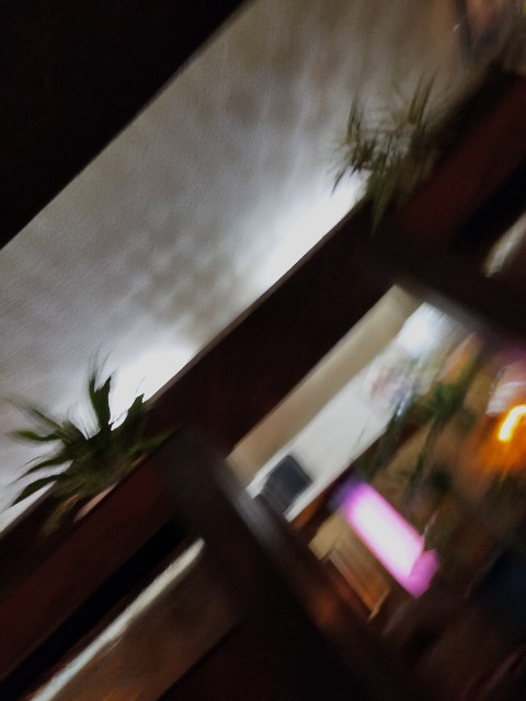 f:id:fruitmix:20220616095227j:image f:id:fruitmix:20220616095227j:image