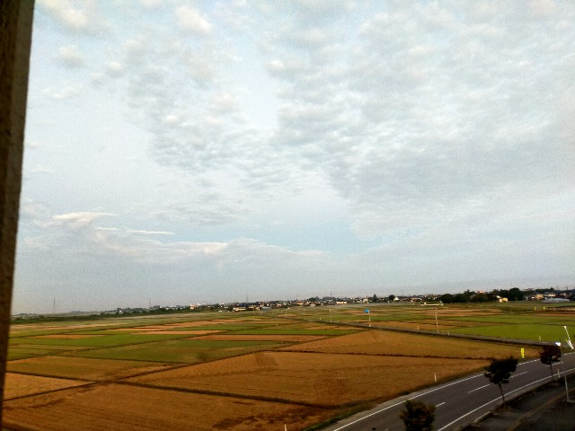f:id:fruitmix:20221017111439j:image f:id:fruitmix:20221017111439j:image