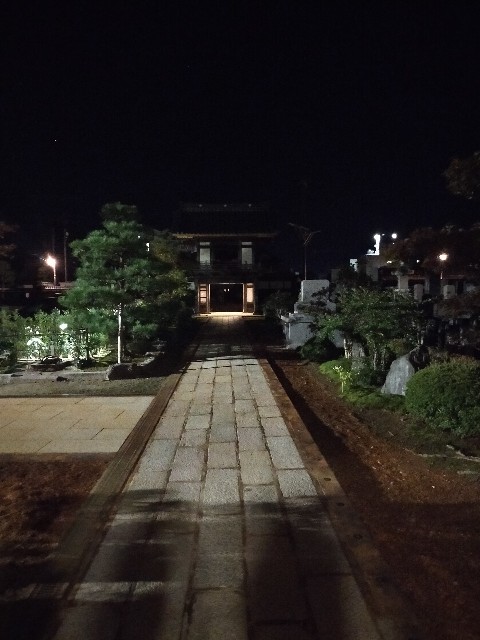 f:id:fruitmix:20221022032151j:image