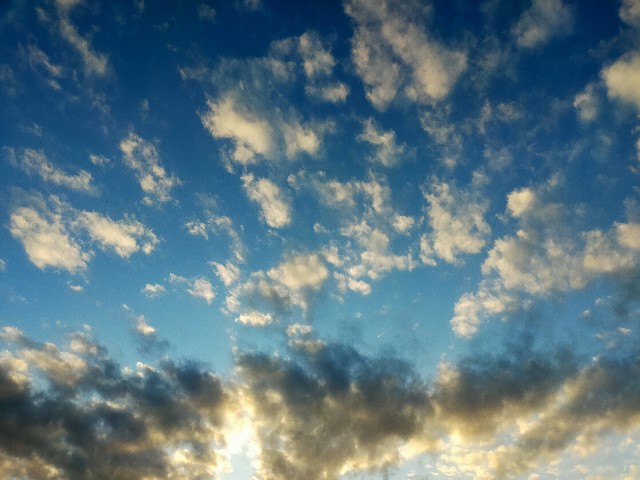 f:id:fruitmix:20221209011534j:image f:id:fruitmix:20221209011534j:image