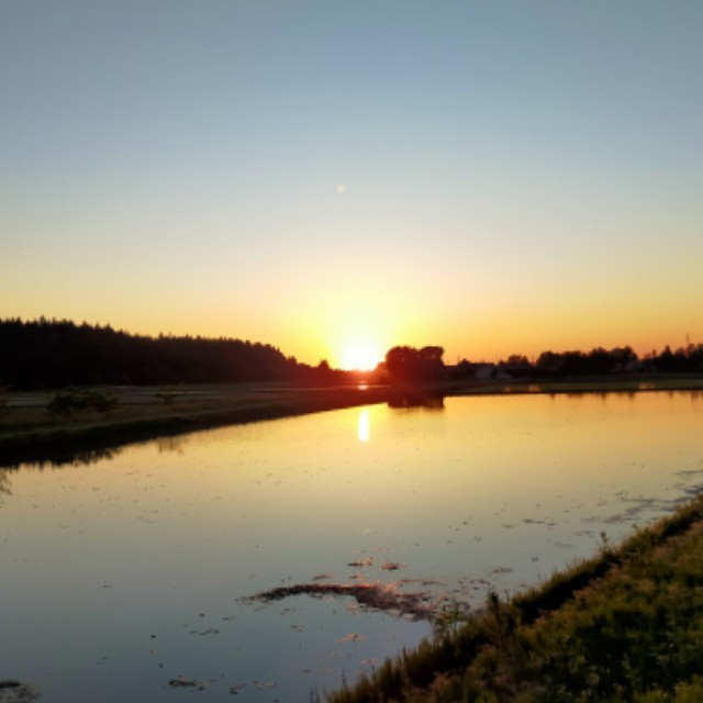 f:id:fruitmix:20231209012928j:image