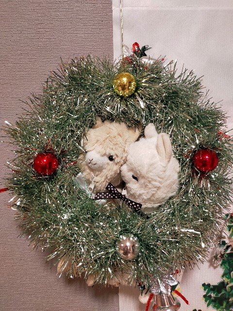 f:id:fruitmix:20231230005508j:image