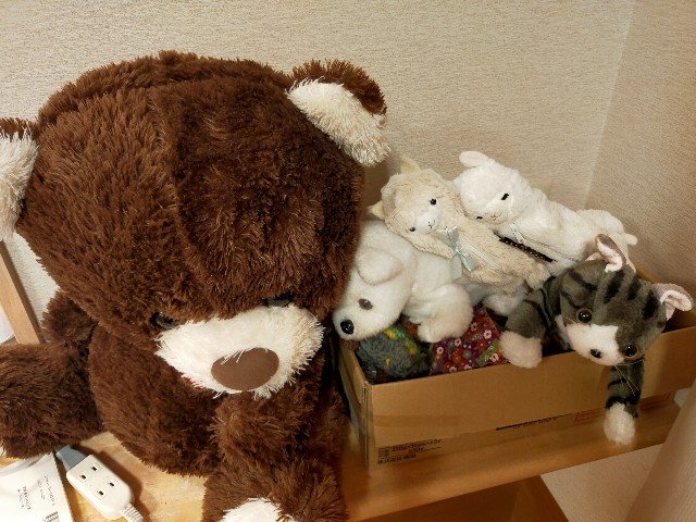 f:id:fruitmix:20231231222124j:image