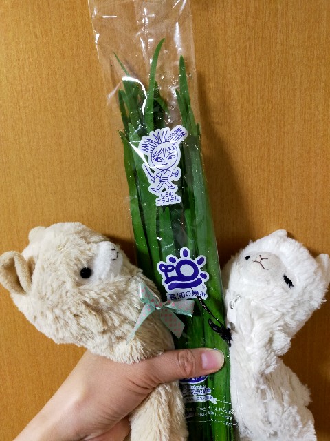 f:id:fruitmix:20240531225452j:image