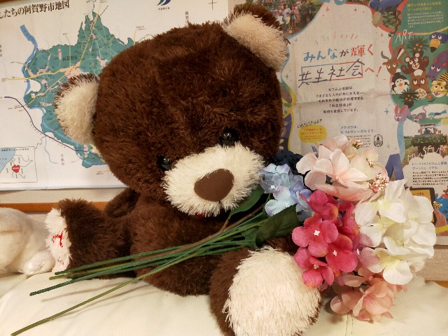 f:id:fruitmix:20240602004938j:image