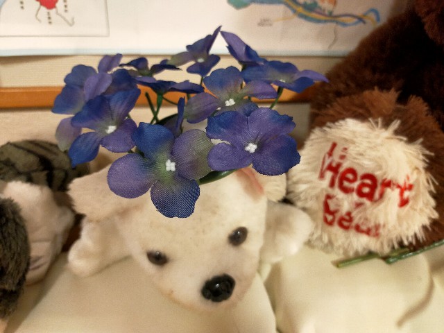 f:id:fruitmix:20240602004956j:image