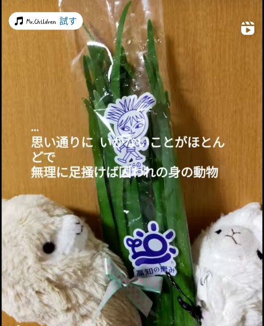 f:id:fruitmix:20240603211953j:image f:id:fruitmix:20240603211953j:image
