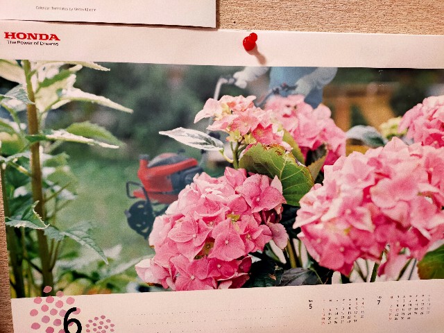 f:id:fruitmix:20240622023459j:image