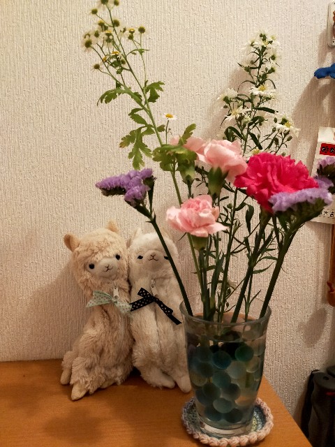 f:id:fruitmix:20240622025503j:image