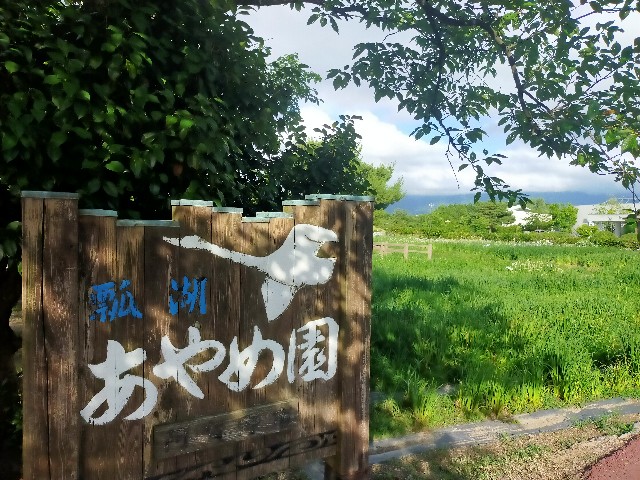 f:id:fruitmix:20240627004122j:image