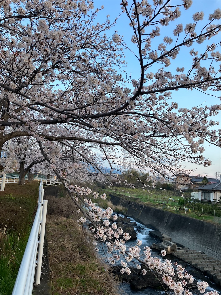 f:id:frying_pan:20250407061723j:image