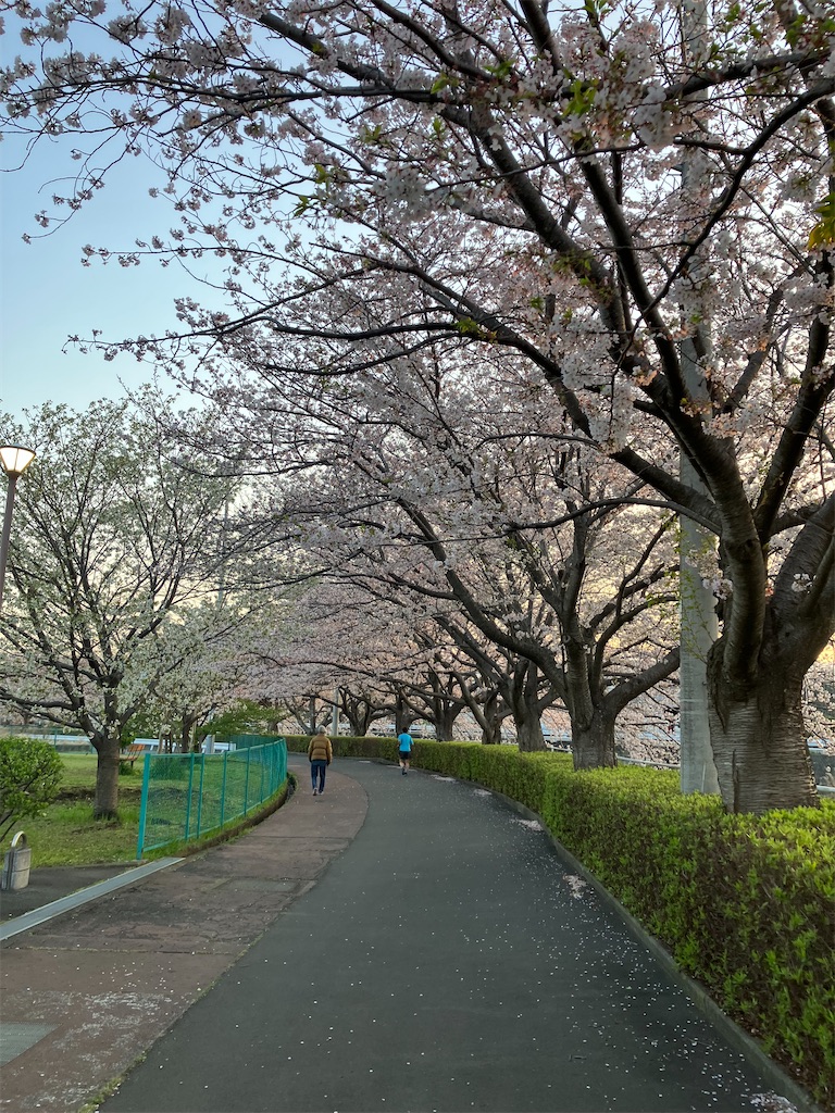 f:id:frying_pan:20250409082638j:image