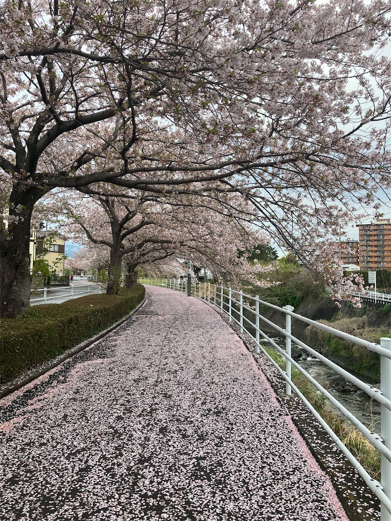 f:id:frying_pan:20250411083750j:image