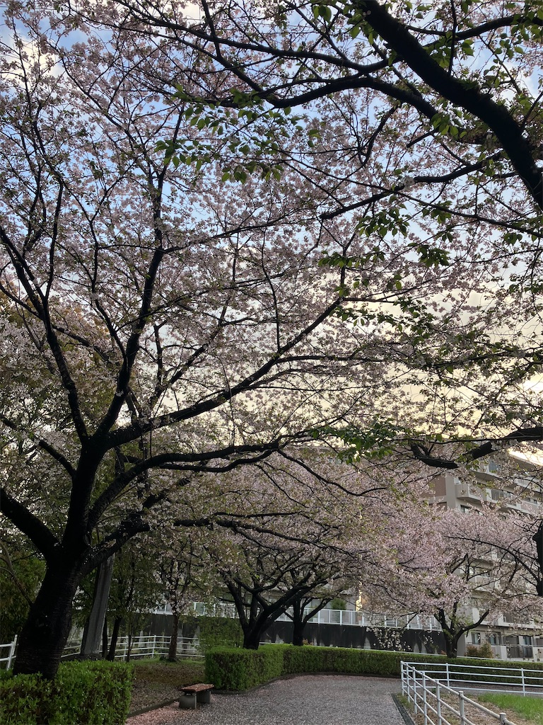 f:id:frying_pan:20250414132236j:image