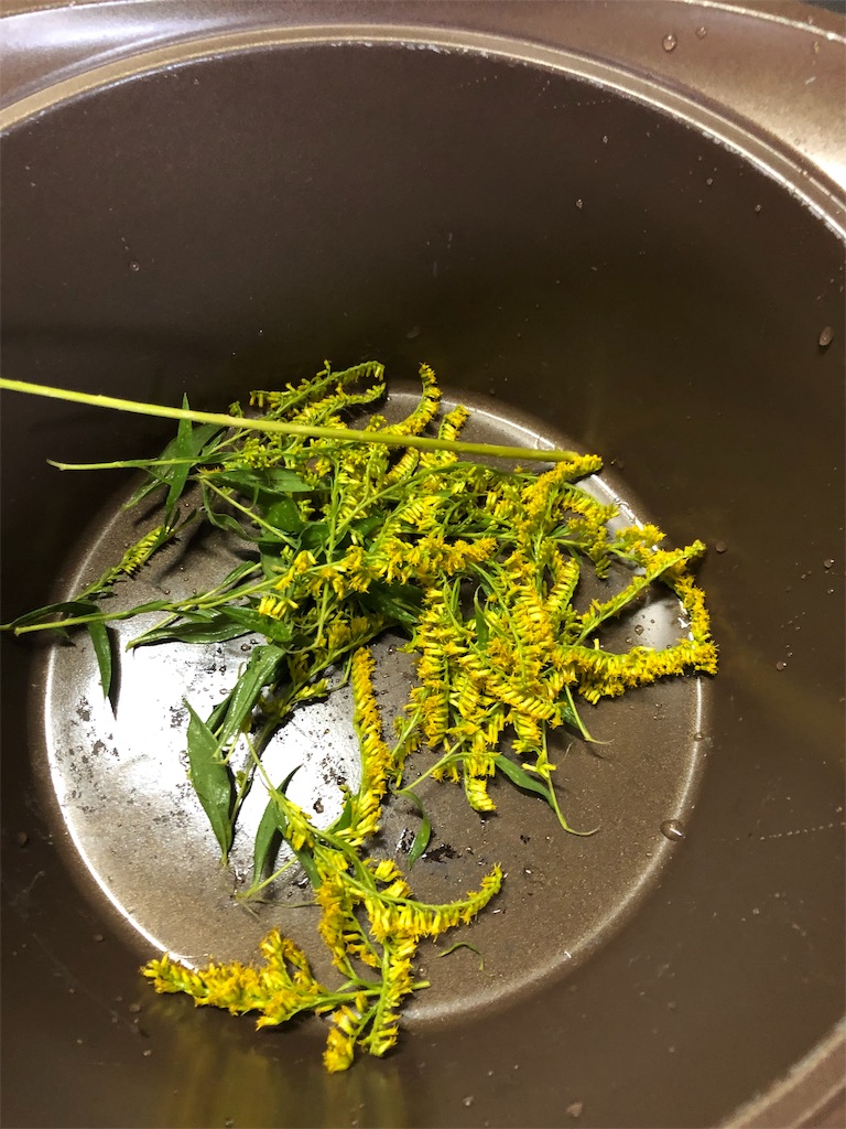 f:id:fs10035:20191011225028j:image f:id:fs10035:20191011225028j:image