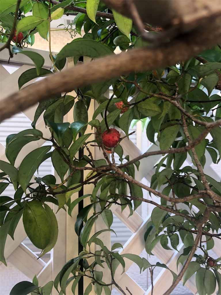 f:id:fs10035:20191027175036j:image f:id:fs10035:20191027175036j:image