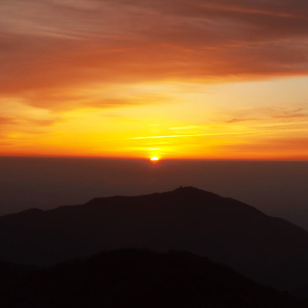 f:id:fsh-mt:20190226144356j:plain