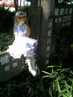 f:id:fslasht:20070623152355j:image