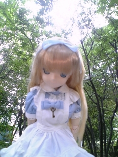 f:id:fslasht:20070623160132j:image
