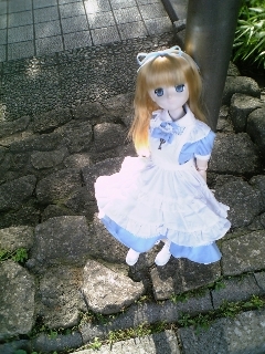 f:id:fslasht:20070623162040j:image