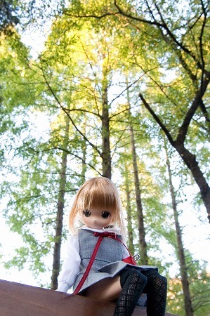 f:id:fslasht:20071121234052j:image