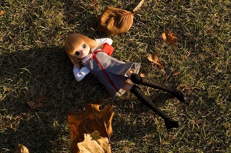 f:id:fslasht:20071121234056j:image
