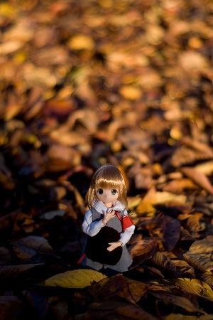 f:id:fslasht:20071121234127j:image