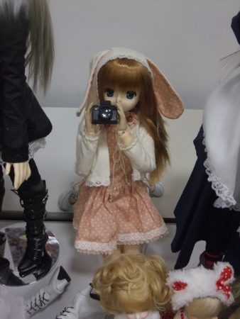 f:id:fslasht:20100618210847j:image f:id:fslasht:20100618210847j:image