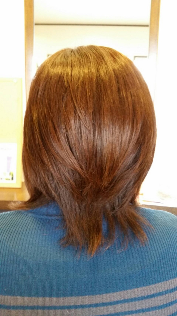 f:id:fsroom:20170125232118j:plain