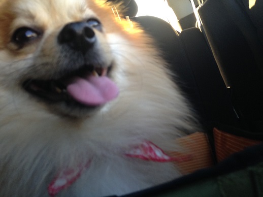 f:id:fsroom:20170131235229j:plain f:id:fsroom:20170131235229j:plain