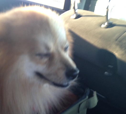 f:id:fsroom:20170131235256j:plain f:id:fsroom:20170131235256j:plain