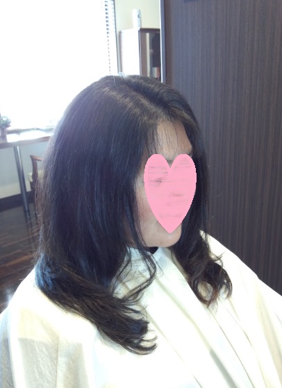 f:id:fsroom:20170216002051j:plain