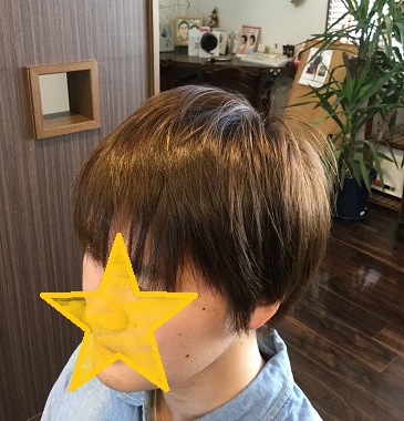 f:id:fsroom:20170317235752j:plain
