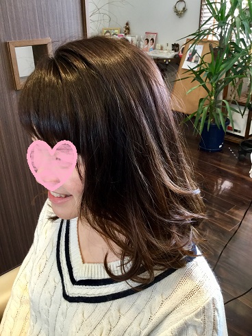 f:id:fsroom:20170322112021j:plain