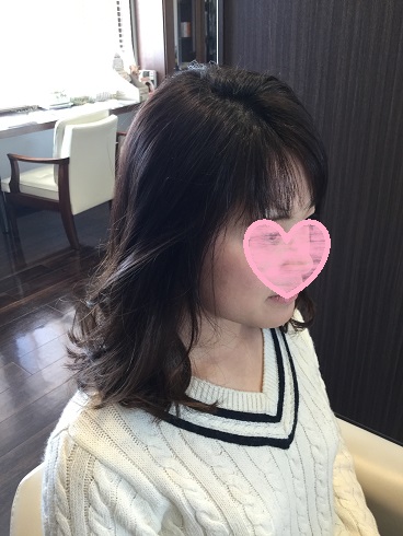f:id:fsroom:20170322112108j:plain