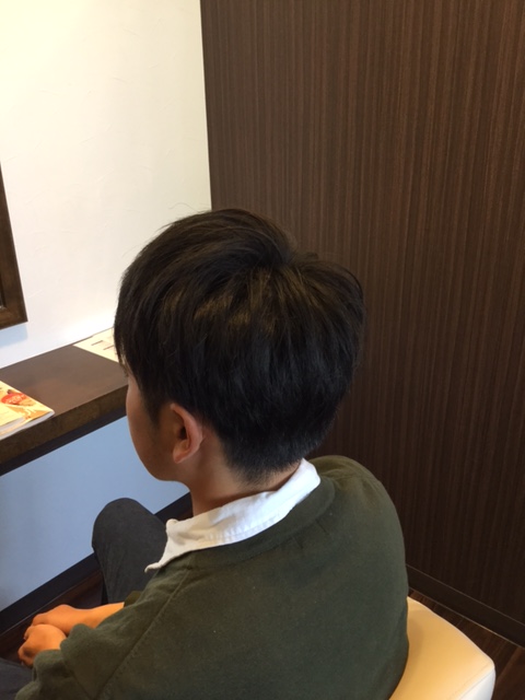 f:id:fsroom:20170412231938j:plain