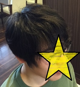 f:id:fsroom:20170503170832j:plain
