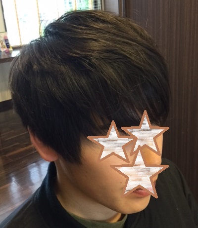 f:id:fsroom:20170529184736j:plain