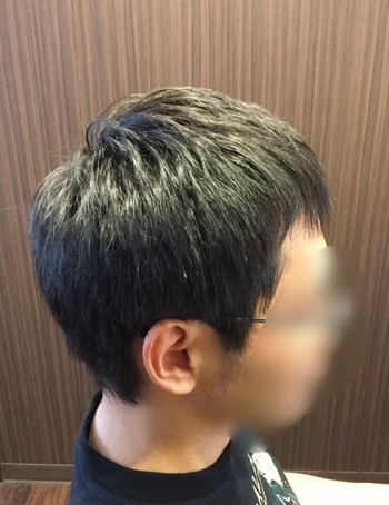 f:id:fsroom:20170629131346j:plain