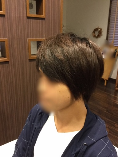 f:id:fsroom:20170924162232j:plain