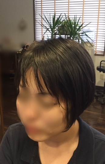 f:id:fsroom:20180528191344j:plain