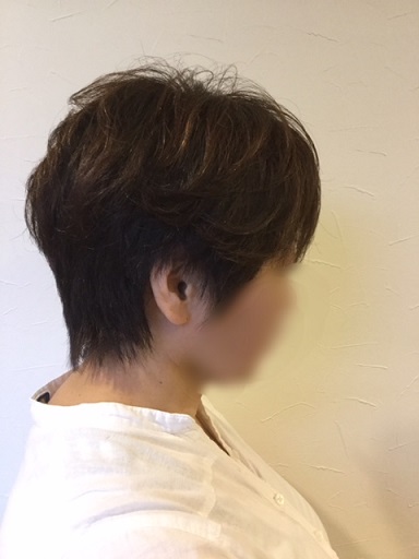 f:id:fsroom:20180802185554j:plain f:id:fsroom:20180802185554j:plain