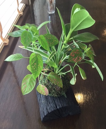 f:id:fsroom:20180922152852j:plain f:id:fsroom:20180922152852j:plain