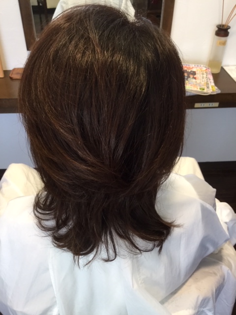 f:id:fsroom:20190125180007j:plain