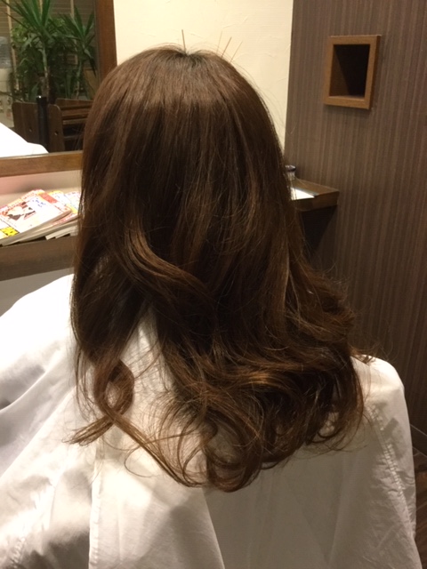 f:id:fsroom:20190214203030j:plain