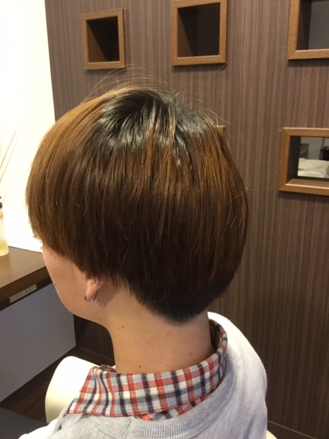 f:id:fsroom:20190216185005j:plain