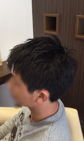 f:id:fsroom:20190303132958j:plain