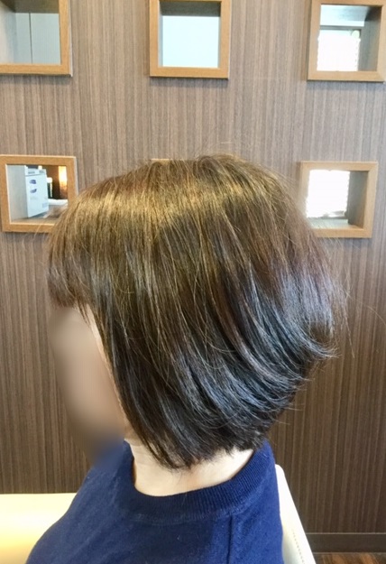 f:id:fsroom:20190324131255j:plain